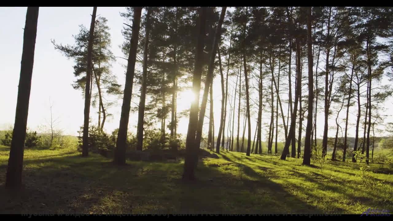 Ты НЕ ОТОРВЁШЬСЯ - проверь себя! - Honiton Hot Pennies Day -- Nutmeg -- Almanac - Circle of Days pt