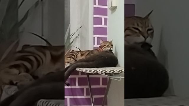 забота прежде всего