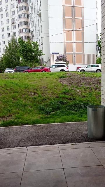 звук ветра