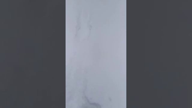 Тест Снегоступов ч1