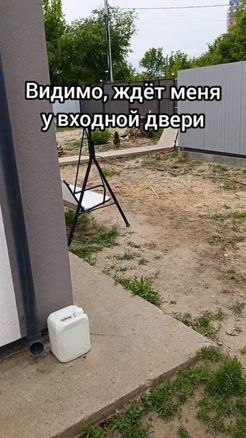 Топ неожиданых концовок. Разыграла добермана #доберманграф #доберман #прикол