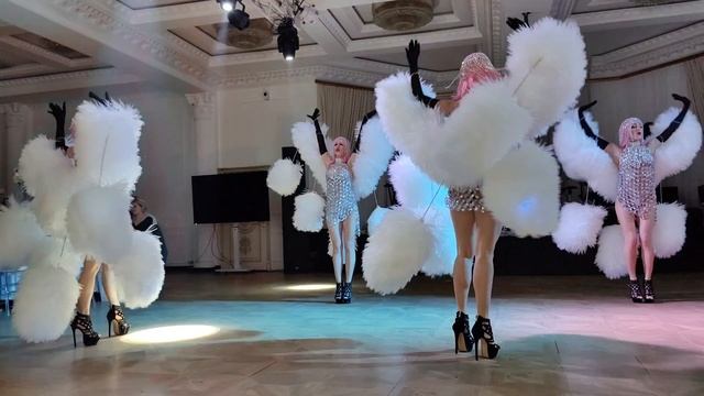 petal_20250518_164504.mp4