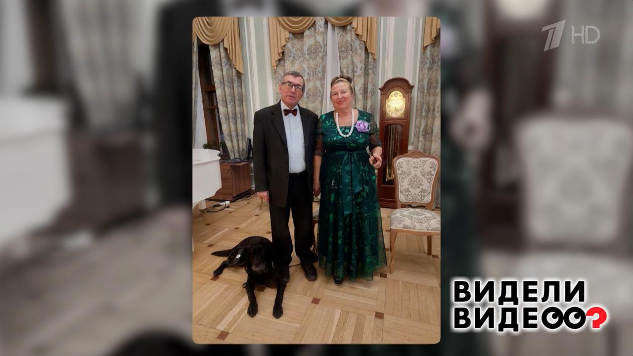 Неразлучные друзья. Видели видео? Фрагмент выпуска от 18.05.2025