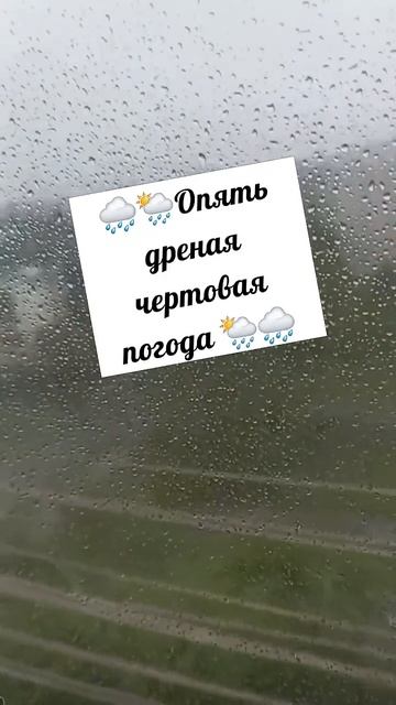 #юмор #черныйюмор #юморист #юморок #юморжизни #люблюморе #юмормастеров #юморвкартинках #видеоюмор #ю