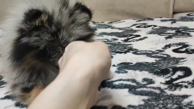 1000137031.mp4
