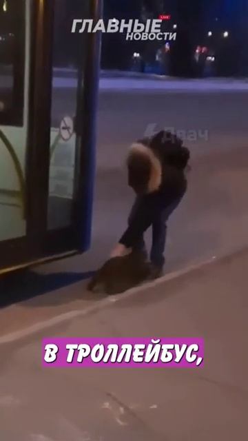 Новостничок (194)