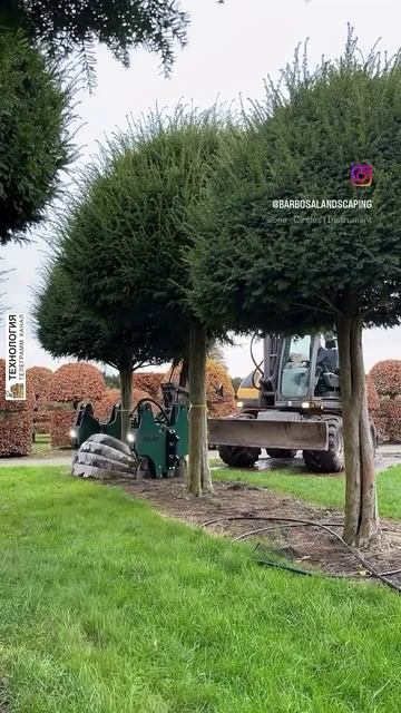 ⚙️ Трансплантатор деревьев (tree spade).
