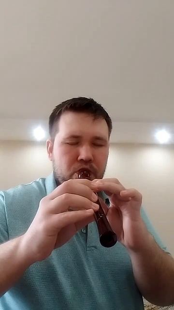 Мелодия из фильма Хороший, плохой, злой на Флейте