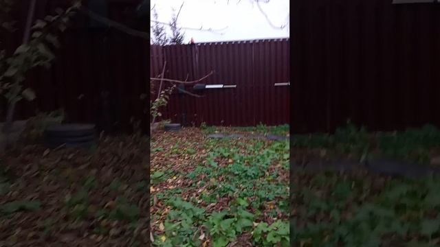 VID_20241022_171736