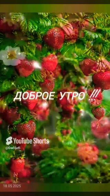 VID_20250518070151