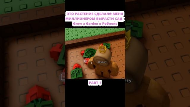 сад