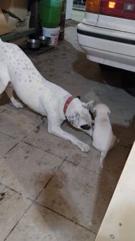 Учит жизни)