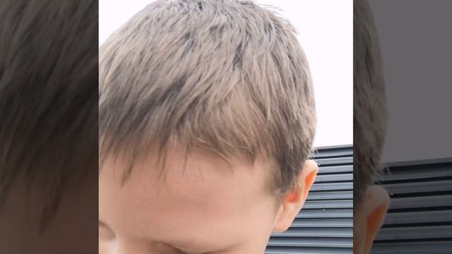 VID-20250518-WA0008.mp4