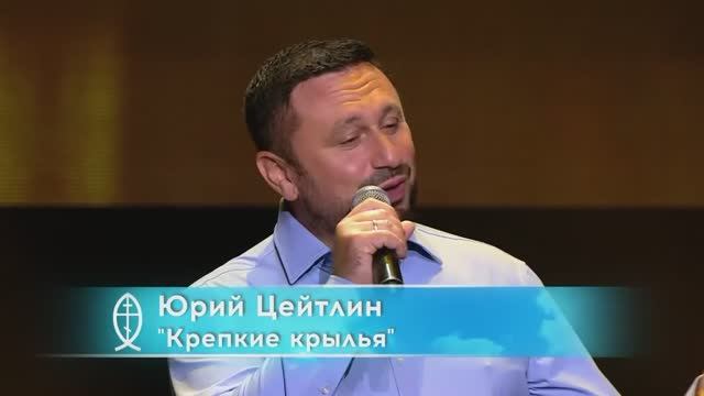 Юрий Цейтлин - "Крепкие крылья"