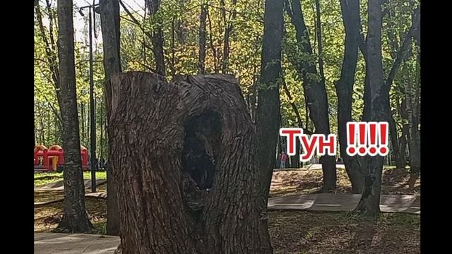 Кто что нибудь видит поставьте лайк 👍