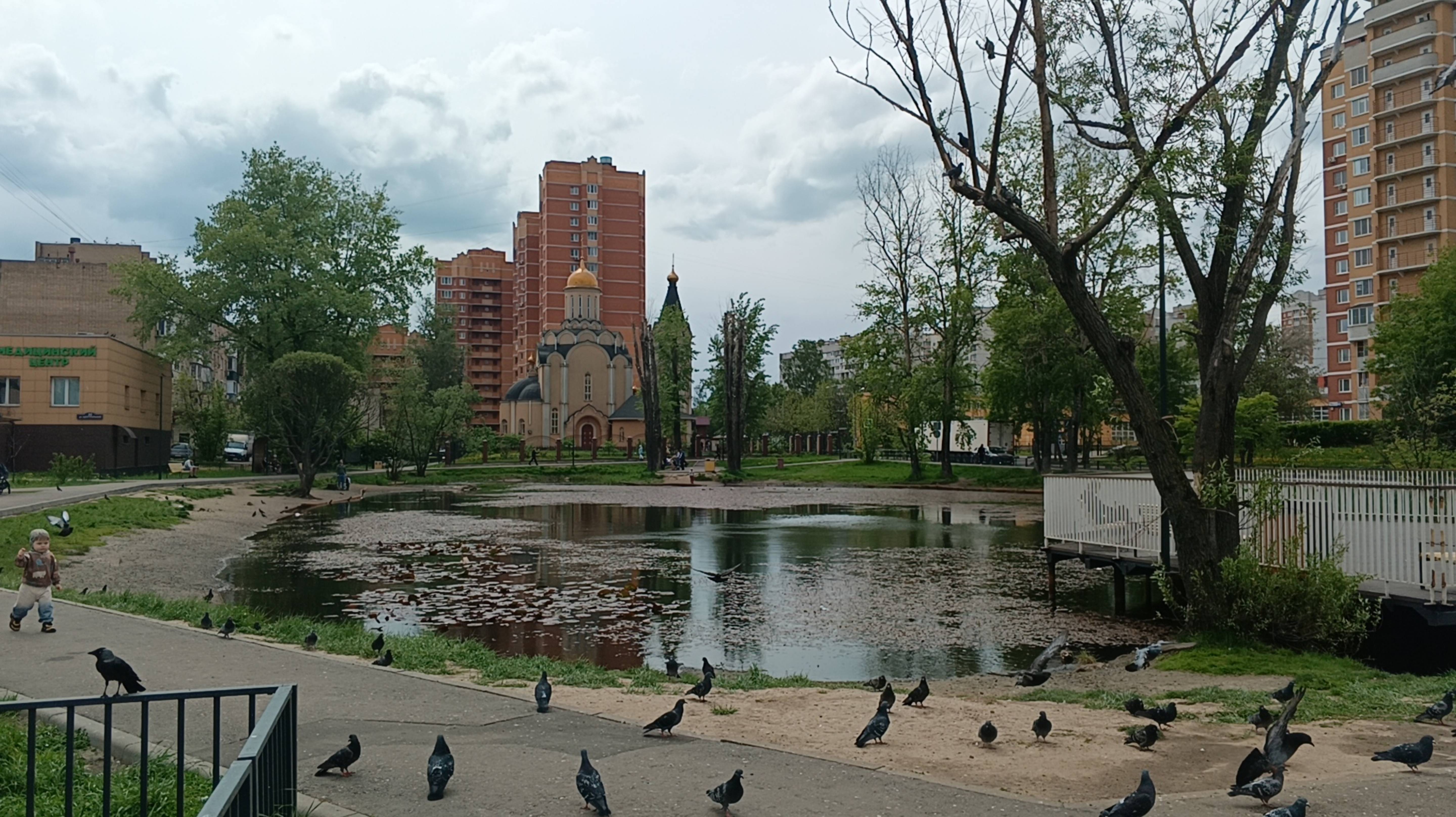 Прогулки по Москве. Пруд Керосинка в Кучино.