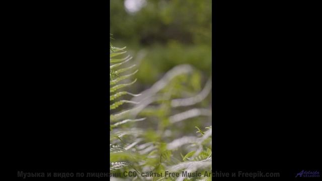 Саунд создаёт ощущение полёта без границ - Electric Critters -- Phillip Gross -- Virtual Instruments