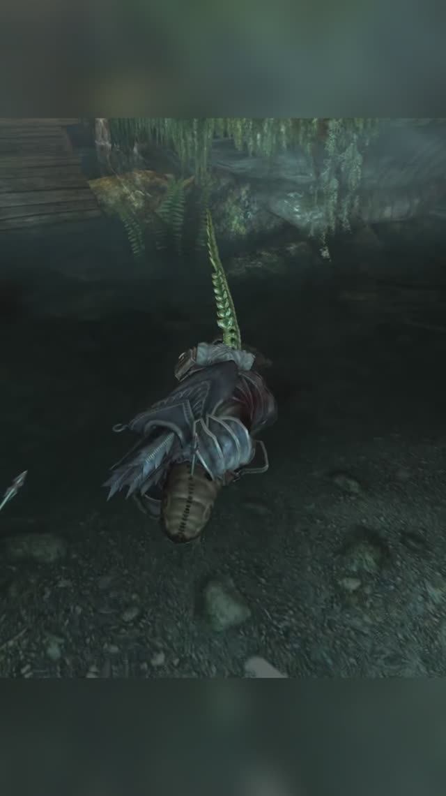 Полеты #Skyrim
