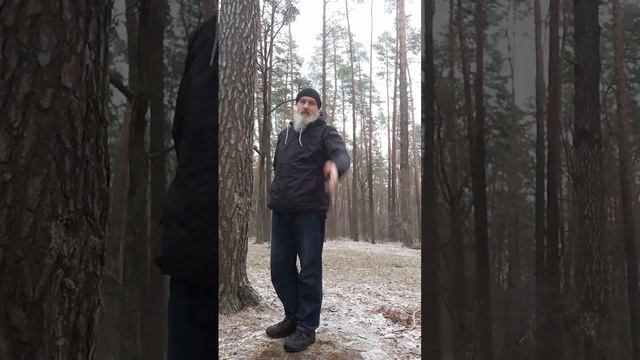 Основы и шаг Тайцзи #ДаоЗимы Доброго, Лесного 🌲 Утра Ц