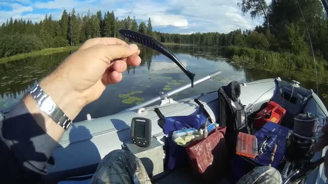 Окунь. Яузское водохранилище. Отдых. Природа.