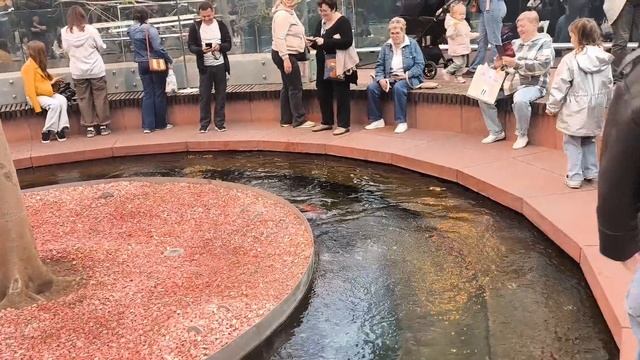 Парк Галицкого, Краснодар.mp4