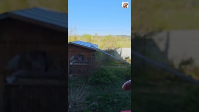 Настюня сходила на фитнес 🌞❤️😻