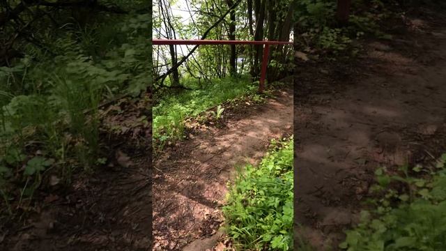 1000029420.mp4