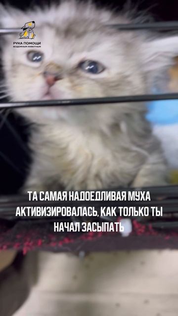 Знакомая ситуация? Поддержать⬇️