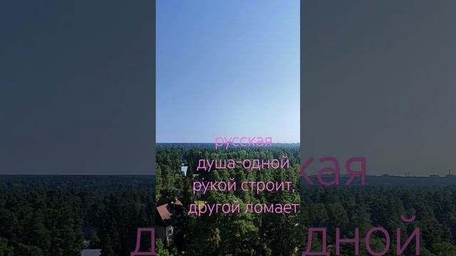 447*#2 Сам Руководитель Сеит Семена Разорения/ Эрнст Мул?