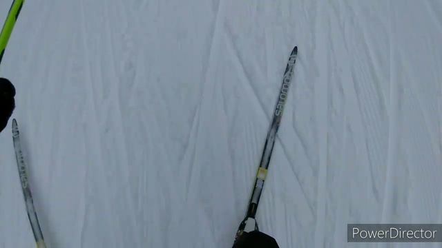 Лыжные соревнования в Малых Корелах