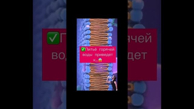ПОЛЬЗА ГОРЯЧЕЙ ВОДЫ