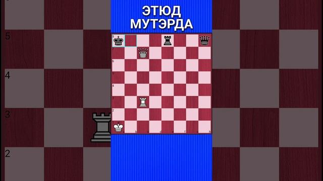 💥ТЯЖЕЛОФИГУРНАЯ ЛЕСТНИЦА #shorts