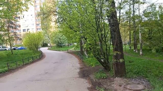 18 мая 2025. Майское простое.