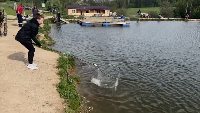 Утренние поимки на водоеме