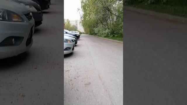 Гульки по району в выходной