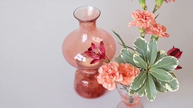 8903461-hd_1920_1080_30fps