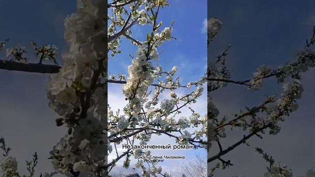 НеЗаконченный роман 🎭 в моем исполнении