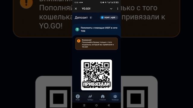 Мой доход растёт каждый день! Секрет прост YO.GO