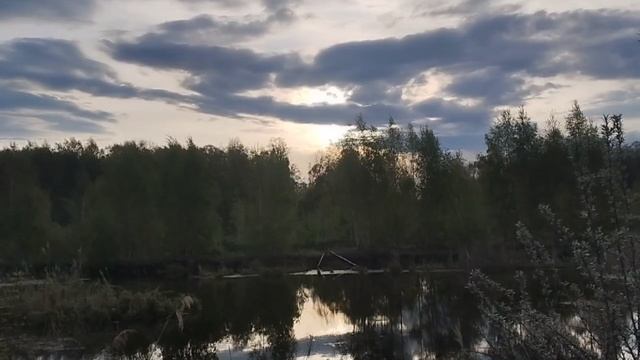 1000029579.mp4