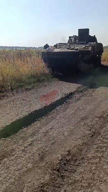 Какая занимательная история, все равно забудут