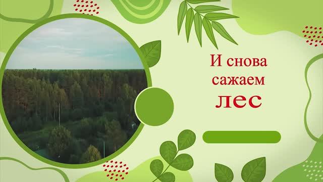 Сажаем лес. Май 2025.