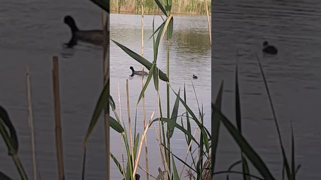 20250518_160603.mp4