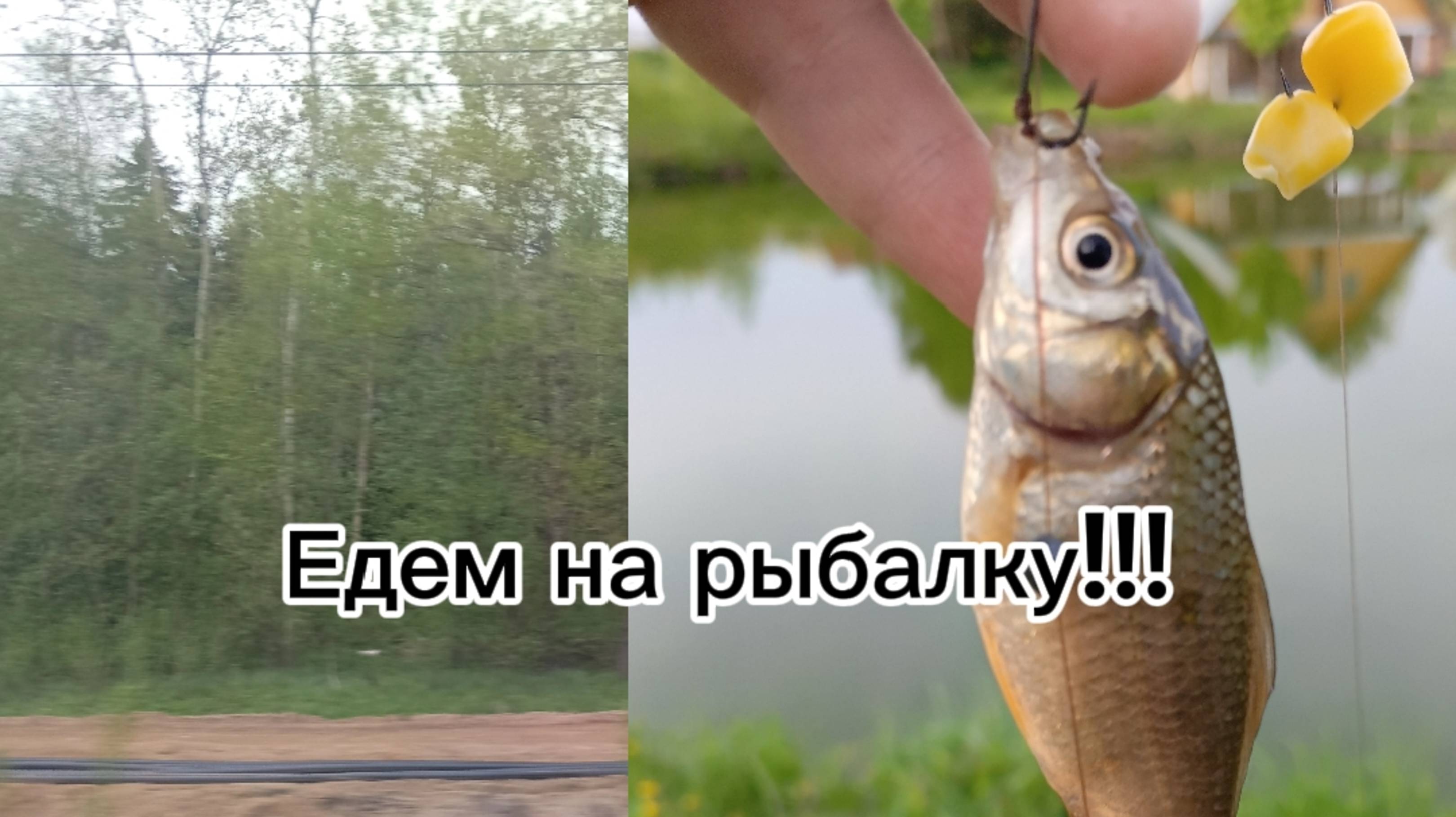 Рыбалка в деревне (в мае)