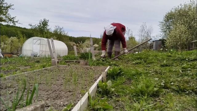 17.05.2025. Все на свежий воздух! Всем по волшебной пилюле. Цветнику быть!