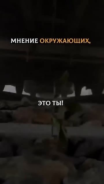 Это мы! У нас получиться преодолеть все неудачи!