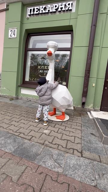 Володя и гусь возле кафе на Муравьева-Амурского, 24. Г. Хабаровск