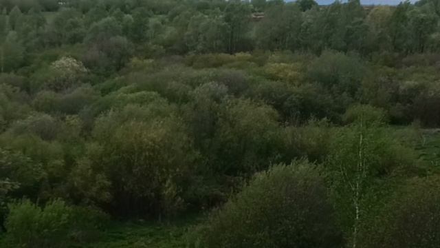 Сельский простор.Вид на Троице- Никольский Храм.