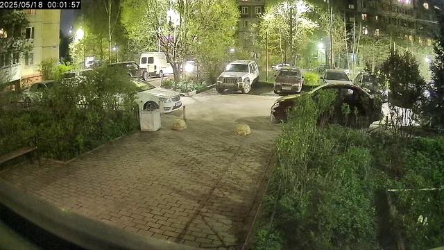 2025.05.18 в 00-01 Срыв цветов