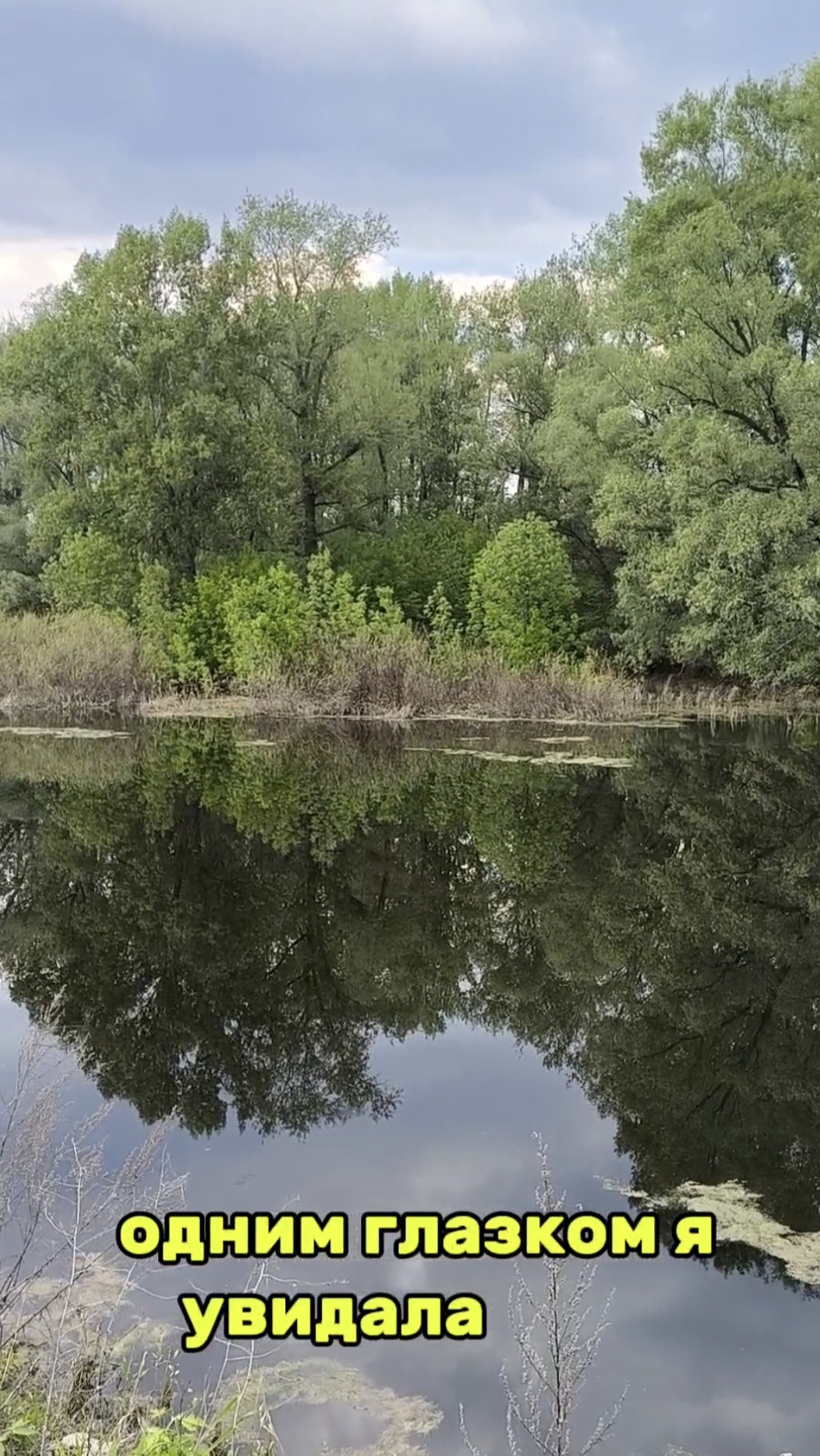 Одним глазком я увидала