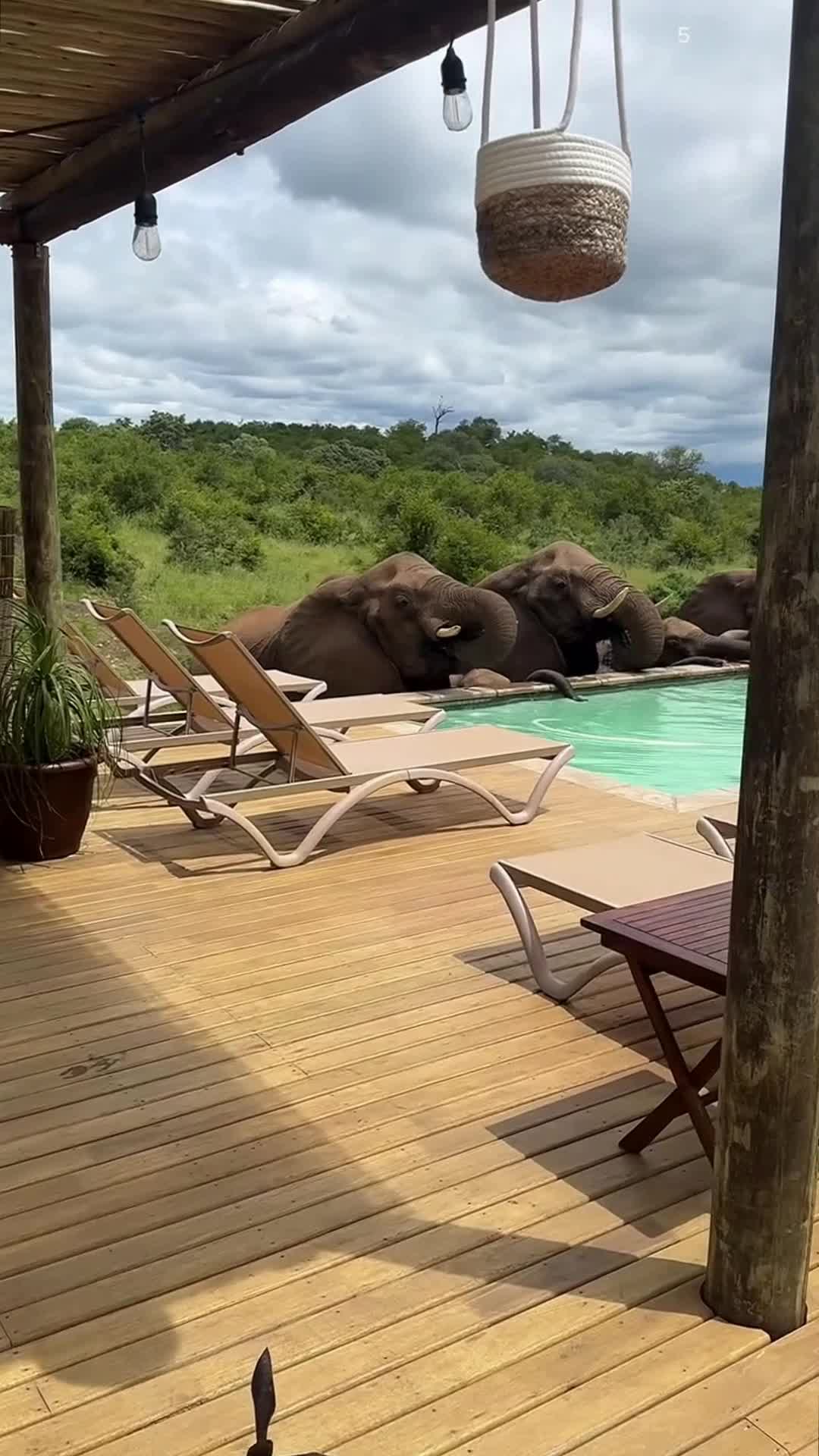 📍#ЮАР🇿🇦